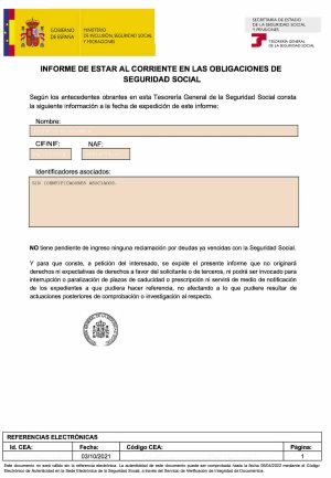 Informe de estar al corriente SS